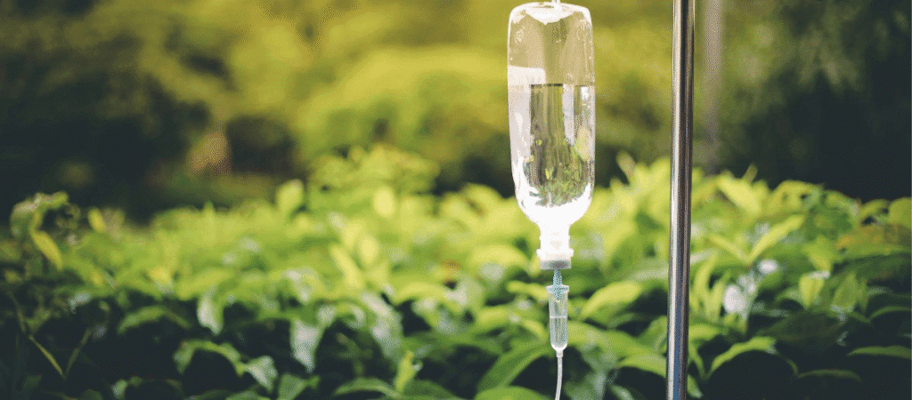 A clear drip hangs from a metal pole, with a lush green bush in the background.